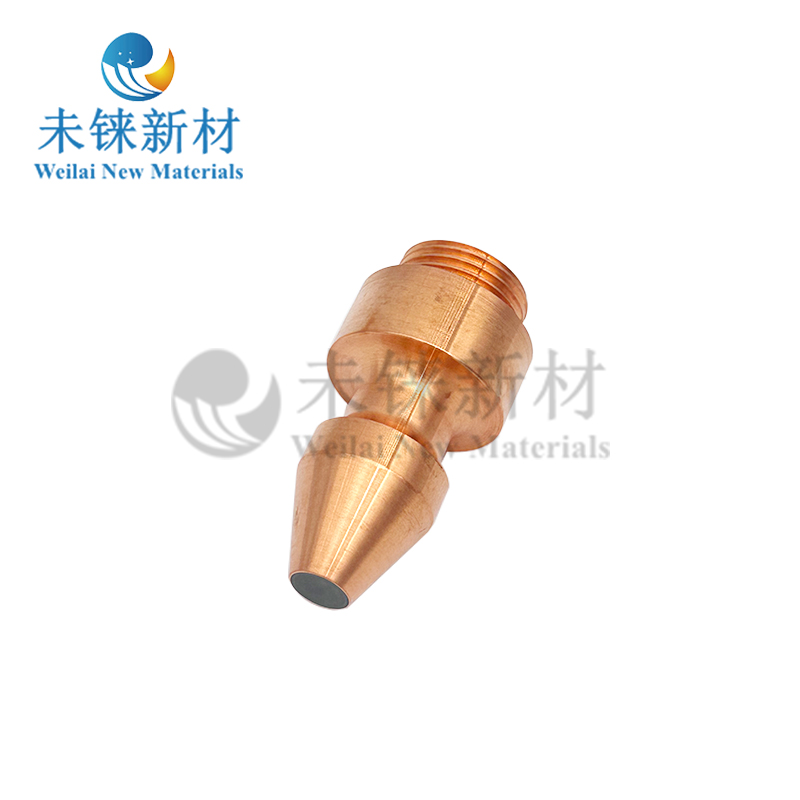 Solid waste treatment electrode